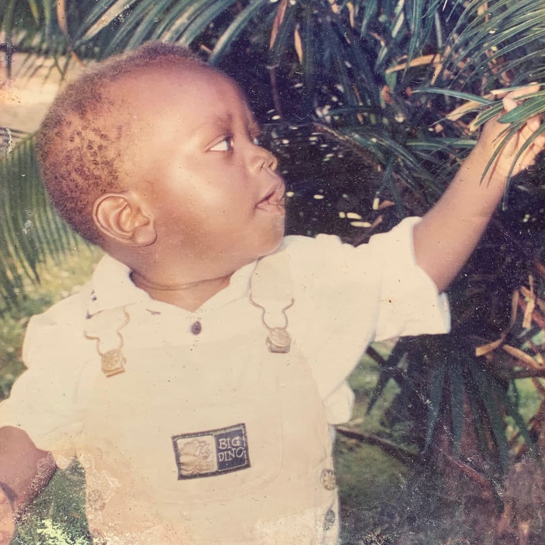 aiming higher from childhood